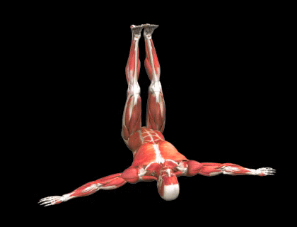 Giro de piernas elevadas tumbado