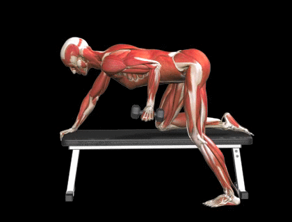 Patada trasera de triceps