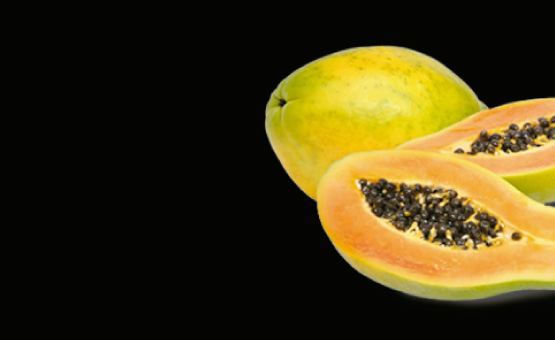 La dieta de la Papaya